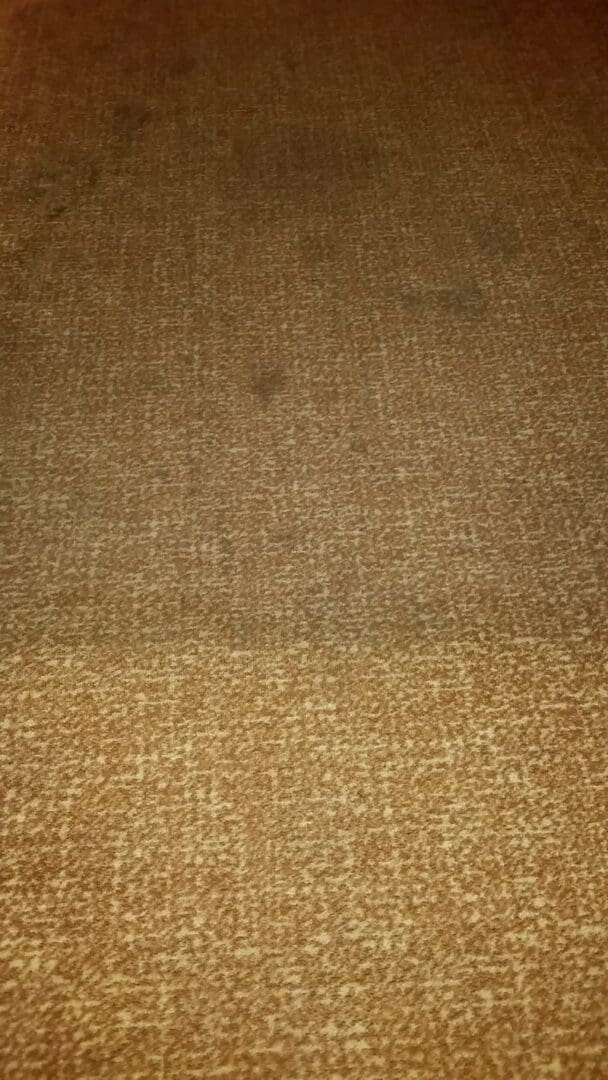 A close-up view of the carpet in a hotel room gallery.